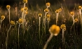 Filename=Flores.jpg
Filesize=315KB
Dimensions=751x454
Date added=Aug 24, 2010 Flores.jpg