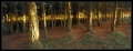 Filename=SALAS__Asturias.jpg
Filesize=298KB
Dimensions=700x271
Date added=May 08, 2007 SALAS__Asturias.jpg