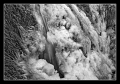 Filename=Teverga_Rio-Cuevas--B-N.jpg
Filesize=101KB
Dimensions=700x492
Date added=Apr 15, 2007 Teverga_Rio-Cuevas--B-N.jpg