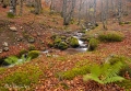 Filename=bcadenas04.jpg
Filesize=194KB
Dimensions=700x486
Date added=Nov 13, 2011 bcadenas04.jpg