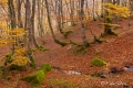 Filename=bcadenas09.jpg
Filesize=186KB
Dimensions=700x469
Date added=Nov 13, 2011 bcadenas09.jpg