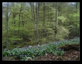 Filename=pome.jpg
Filesize=401KB
Dimensions=690x538
Date added=Jan 12, 2009 pome.jpg