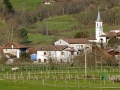Filename=sotodeagues23.jpg
Filesize=74KB
Dimensions=700x528
Date added=Mar 16, 2007 sotodeagues23.jpg