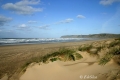 Filename=xago02.jpg
Filesize=53KB
Dimensions=700x467
Date added=Jun 25, 2007 xago02.jpg
